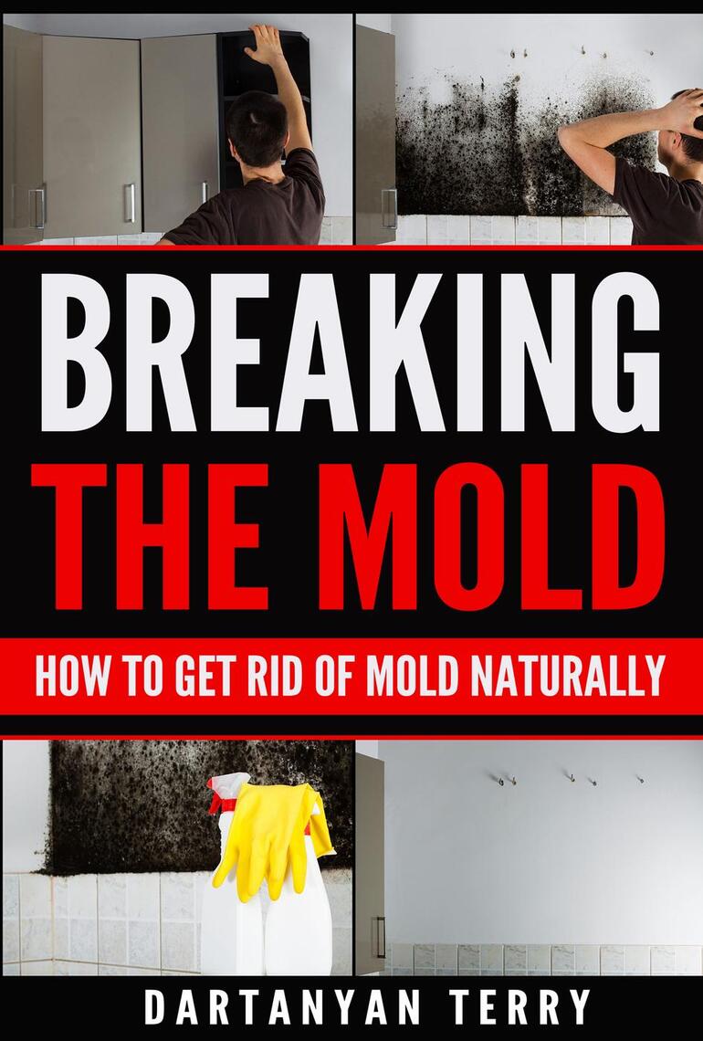 Breaking The Mold How To Get Rid Of Mold Naturally by Dartanyan Terry
