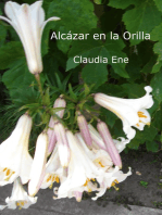 Alcázar en la Orilla