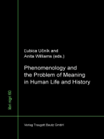 Phenomenology and the Problem of Meaning in Human Life and History