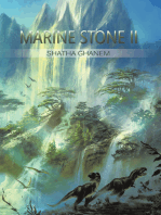 Marine Stone Ii