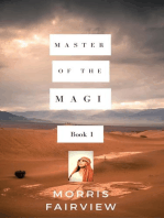 Master Of The Magi Book 1: Master of The Magi, #1