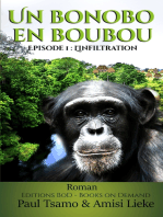 Un bonobo en boubou: L'infiltration