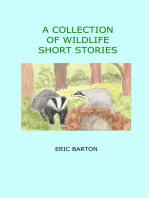 A Collection of Wildlife Short Stories