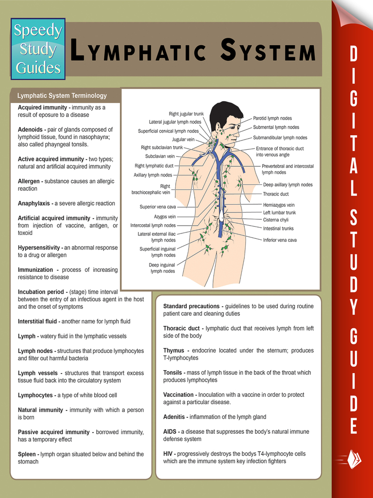 Lymphatic System (Speedy Study Guides) by Speedy Publishing (Ebook ...