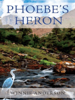 Phoebe's Heron