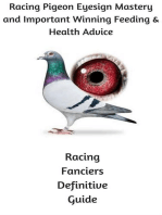 Racing Pigeon Eye Sign Mastery and Important Winning Feeding and Health Advice