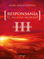 Responsania. El nuevo mundo: III. La gestión