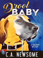 Drool Baby: Lia Anderson Dog Park Mysteries, #2