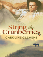 String the Cranberries