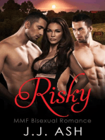 Risky MMF Bisexual Romance