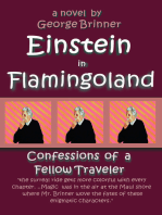 Einstein in Flamingoland