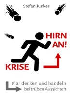 Krise - Hirn an: Klar denken und handeln bei trüben Aussichten