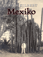 Mexiko: Tagebuch eines deutschen Auswanderers