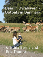 Deer in Dyrehaven - Outpets in Denmark: Outpets