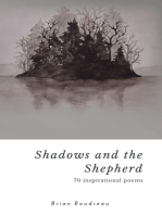 Shadows and the Shepherd