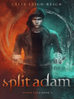 Split Adam