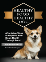 Healthy Food, Healthy Dog