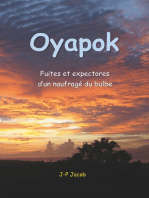 Oyapok: fuites et expectores d'un naufragé du bulbe