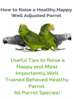 How to Raise a Healthy, Happy Well Adjusted Parrot