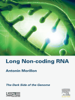 Long Non-coding RNA: The Dark Side of the Genome