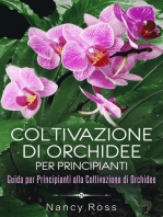 Coltivazione di Orchidee per Principianti