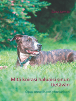 Mitä koirasi haluaisi sinun tietävän