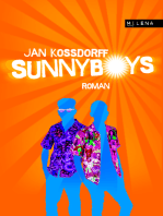 Sunnyboys: Roman