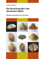 Die Brachiopoden des deutschen Malm: Bestimmungstipps für Sammler