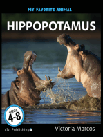 My Favorite Animal: Hippopotamus