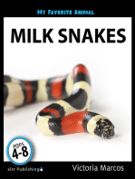 My Favorite Animal: Milk Snakes