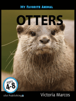 My Favorite Animal: Otters