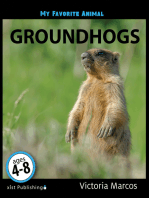 My Favorite Animal: Groundhogs