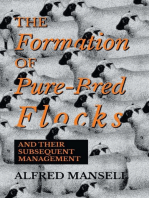 The Formation of Pure-Bred Flocks and Their Subsequent Management