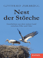 Nest der Störche: Geschichten aus dem weiten Land zwischen Elbe und Oder
