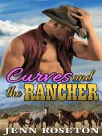 Curves and the Rancher: Coldwater Springs, #3