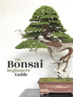Bonsai: The Beginners Guide