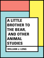 A Little Brother to the Bear, and other Animal Studies