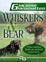 Whiskers and Bear, Sanctuary Tales, Book I