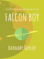 Falcon Boy