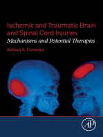 Ischemic and Traumatic Brain and Spinal Cord Injuries: Mechanisms and Potential Therapies