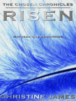 Risen: The Chosen Chronicles