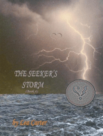 The Seeker's Storm (Bk 6): Silver Sagas, #6