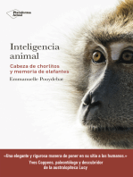 Inteligencia animal: Cabeza de chorlitos y memoria de elefantes
