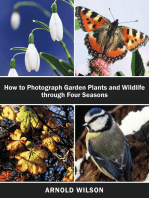 How To Photograph Garden Plants and Wildlife Through Four Seasons