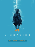 Lightning: A Collection of Very Small Stories