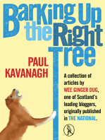 Barking Up the Right Tree: 2015