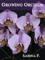 Growing Orchids