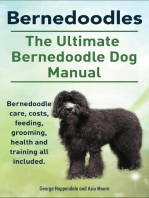 Bernedoodle. Bernedoodle Dog Manual.
