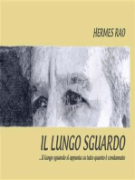 Il lungo sguardo