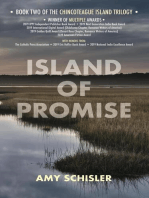 Island of Promise: Chincoteague Island Trilogy, #2